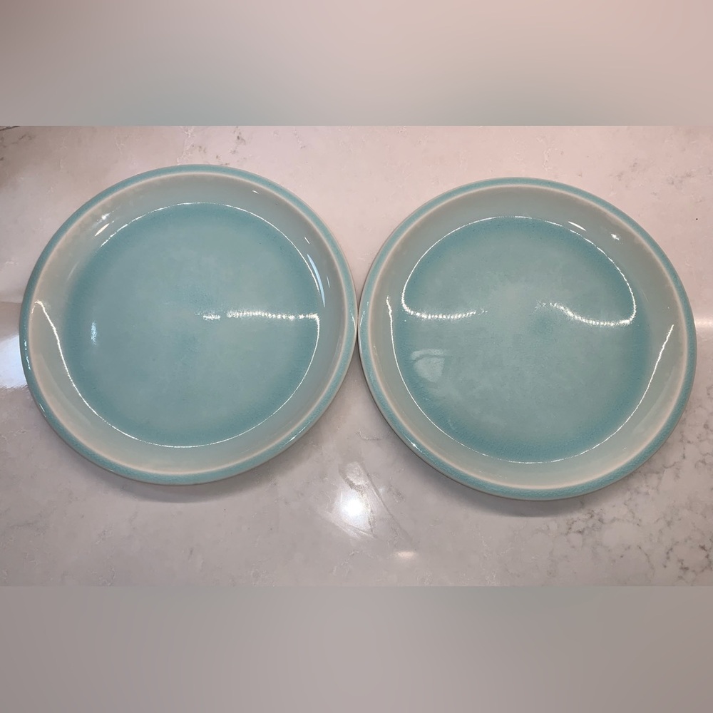 Jars France x Williams Sonoma Cantine Aqua Dinner Plates Set of 2